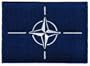 NATO Flag Embroidered Patch North Atlantic Treaty Organization American Military Iron-On Emblem