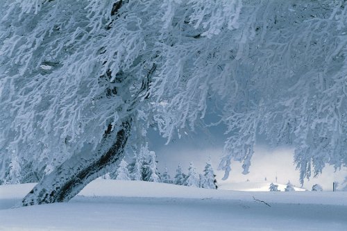 http://ecx.images-amazon.com/images/I/51ayhyF7lFL.jpg