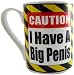 I Have A Big Penis Fl Mug, 14oz