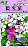 カネコ種苗 草花タネ767 日々草 混合 10袋セット