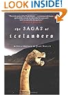 The Sagas of Icelanders: (Penguin Classics Deluxe Edition)