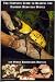 The Complete Guide to Rearing the Eastern Hercules Beetle