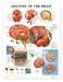 Anatomy of the Brain Anatomical Chart Laminated
