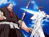 Bleach 29