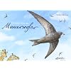 Die weite Reise der Mauersegler