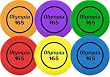 165G Olympia Flying Discs - Set Of 6