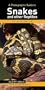 Photographic Guide to Snakes and Other Reptiles of Austra Pb (Photoguides)