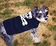 Handmade Wool Skull Dog Puppy Sweater Size XXS