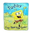 SpongeBob SquarePants Micro Raschel Throw