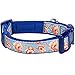 Blueberry Pet Collars For Dogs 3/4
