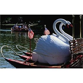 photographie The appearance of swan boats in the Public Garden marks the beginning of Spring - Bo...