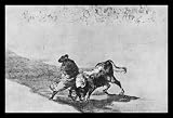 Francisco de Goya y Lucientes (Follow the 