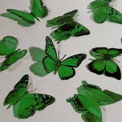 Butterfly 3D Translucent Decoration 12 GREEN Butterflies