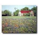 Country Windmill Barn Flowers Landscape Home Decor Wall Picture 16x20 Art Print