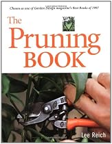 The Pruning Bk