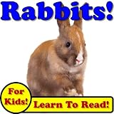 Rabbits! Learn About Rabbits While Learning To Read - Rabbit Photos And Facts Make It Easy! (Over 45+ Photos of Rabbits)