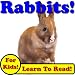 Rabbits! Learn About Rabbits While Learning To Read - Rabbit Photos And Facts Make It Easy! (Over 45+ Photos of Rabbits)