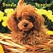   - Poodle Puppies 2009 Square Wall Calendar