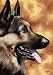 German Shepherd Dog Art Print Signed by Artist DJ Rogers
