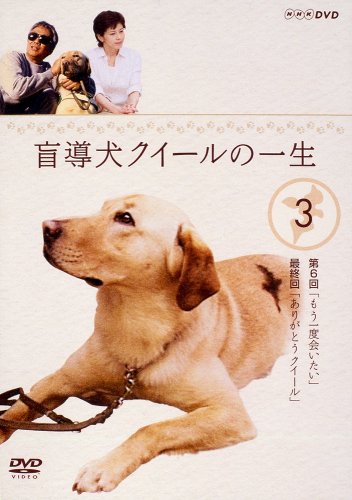 盲導犬クイールの一生 3 沢口靖子 勝村政信 檀ふみ うじきつよし 玉置浩二 秋元良平 石黒謙吾 渡辺雄一 寺田敏雄