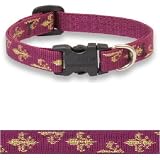 Royal Gold 1/2 in Adjustable Dog Collar (9in - 12in)