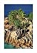 Aerial of Rocky Islet, Seychelles poster print,18.3 in. x 26 in.