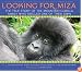 Looking For Miza
