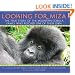 Looking For Miza