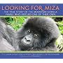 Looking For Miza