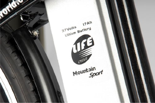 LifeCycle Mountain Sport Electric Bike