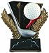 Golf Award
Trophy Paradise 6