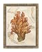 Exotic Map with Coral IV (D) - Deborah Bookman Art Print Poster 11 x 14