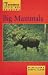 Books : Big Mammals (Little Red Readers)