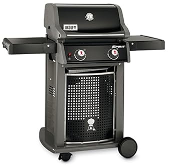 barbecue weber 2 bruleurs