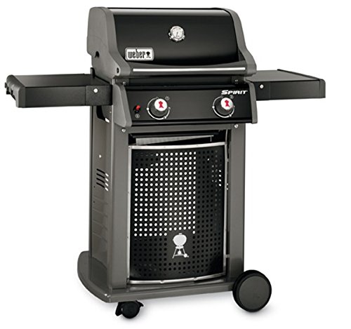 barbecue gaz que choisir
