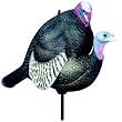 Delta Breeding Tom Turkey Decoy