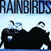 Music : Rainbirds