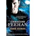 Dark Storm ('Dark' Carpathian Series)