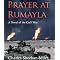 Iraq War / Gulf War reads