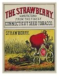 The Strawberry Brand Cigar Outer Box Label Premium Giclee Poster Print, 12x16