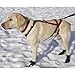 One Harness - Huge (dogs 75-120 lbs)