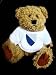 Teddy Bear with Zurich t-shirt