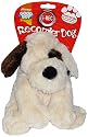 Good Boy I.Rec Recorder Dog Toy