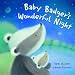 Baby Badger's Wonderful Night