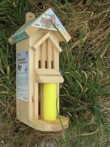 BUTTERFLY HABITAT/FEEDER