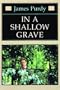 In a Shallow Grave