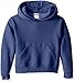 Jerzees boys Fleece Sweatshirts, Hoodies & Sweatpants Hooded Sweatshirt, Hoodie - Heather Blue, Medium US