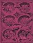 Baronial and Ecclesiastical Antiquities of Scotland (1901), The - Volume 2