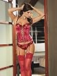 Rose Embroidered Corset