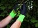 Kevlar Lined Thornproof gloves Large